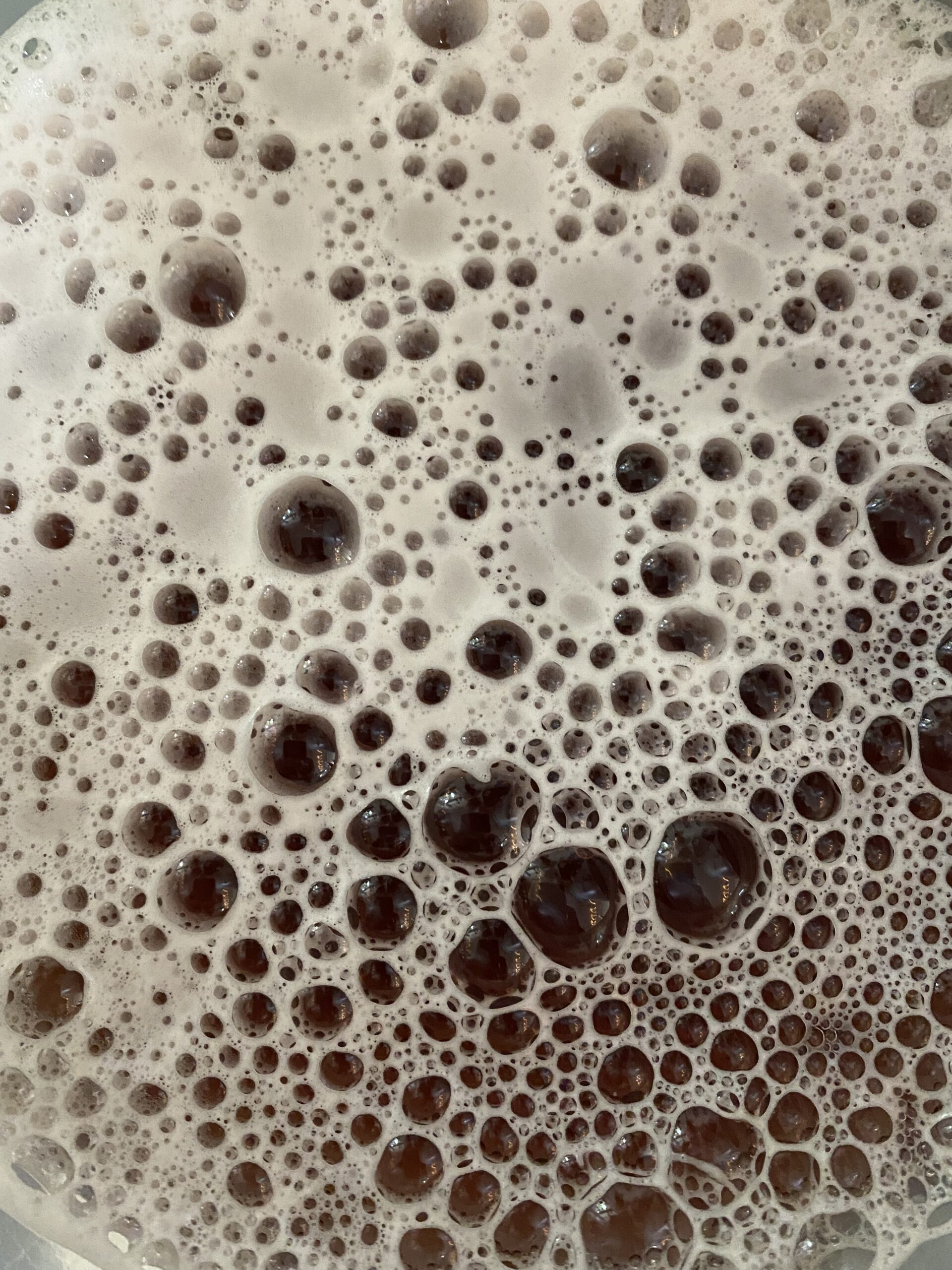 close up of kombucha bubbles